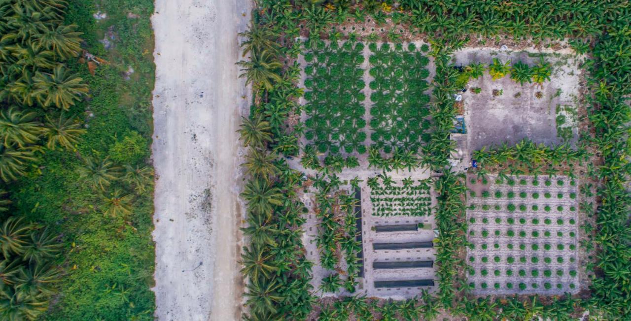 Sunview Residence Kaashidhoo Екстер'єр фото